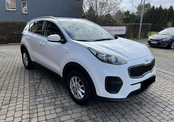 Kia Sportage cena 65900 przebieg: 61000, rok produkcji 2016 z Kudowa-Zdrój małe 172